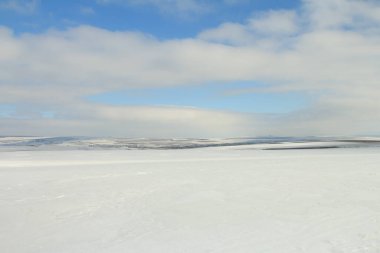 Kış mevsiminde karla kaplı ağaçlarla kaplı güzel bir manzara