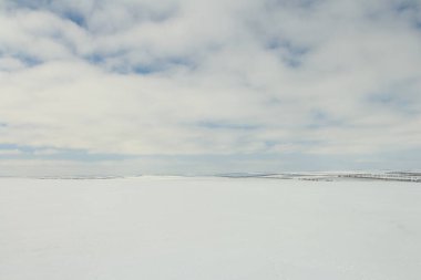 Karla kaplı ağaçlarla kaplı kış manzarası