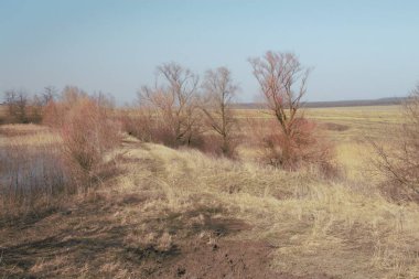Ormandaki güzel sonbahar manzarası