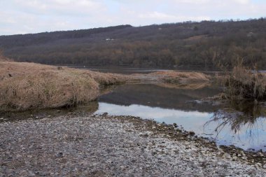 Ormandaki nehrin güzel manzarası.