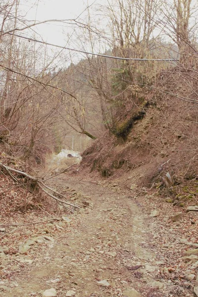 Dağların güzel manzarası