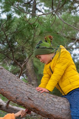 Young boy climbing a tree branch in a pine forest, enjoying outdoor activities