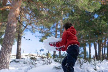 Küçük çocuk kış boyunca karlı bir ormanda büyük bir kar parçasını kaldırıyor.