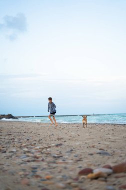Çocuk gün batımında kumsalda evcil hayvanıyla rahatlatıcı bir yürüyüş yapıyor.