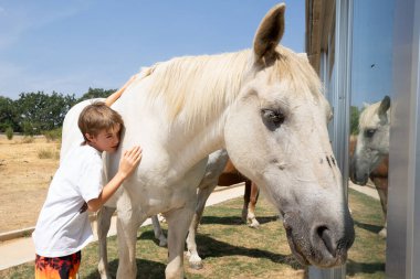 Çiftlik ortamında güzel beyaz bir ata sevgi ve ilgi gösteren çocuk hayvanla özel bir bağ kurmanın tadını çıkarıyor.