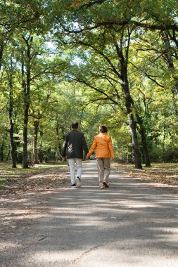 Yaşlı çift parkta el ele yürüyorlar, doğanın tadını çıkarıyorlar.