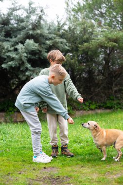 İki kardeş eğiliyor, güneşli bir günde bahçede küçük köpeklerini besliyorlar.