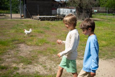 İki kardeş çiftlikte yürüyorlar, ellerinde bir şey tutuyorlar, arka planda beyaz bir tavuk koşuyor.