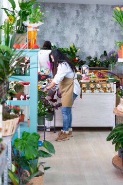 Çiçekçiyle ilgilenen, çiçekçisinde sulama kabıyla sulayan, küçük işletme kavramı.