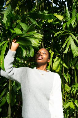 Genç bir kadın gür orman ormanlarında tropikal palmiye yapraklarına dokunuyor.