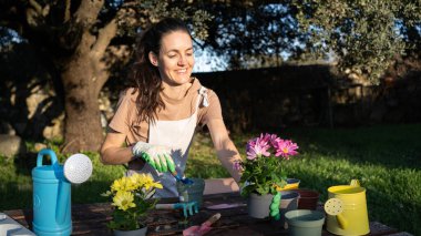 Bahçe eldivenli bir kadın bahçedeki bir masada renkli çiçekleri yeniden saksılıyor.