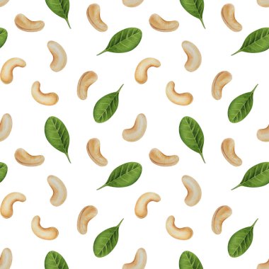 Suluboya kaju fıstığı pürüzsüz desen. Beyaz arka plan. Tasarım için, arka planlar