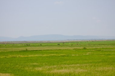 Alan ve mavi dağ mavi gökyüzü