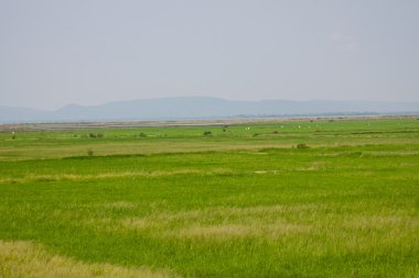 Alan ve mavi dağ mavi gökyüzü