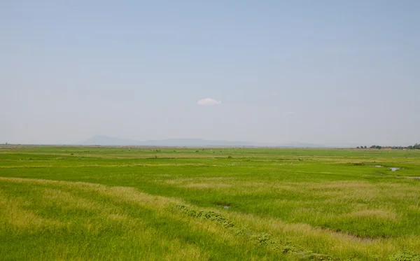 Yalnız bulut gökyüzü üzerinde