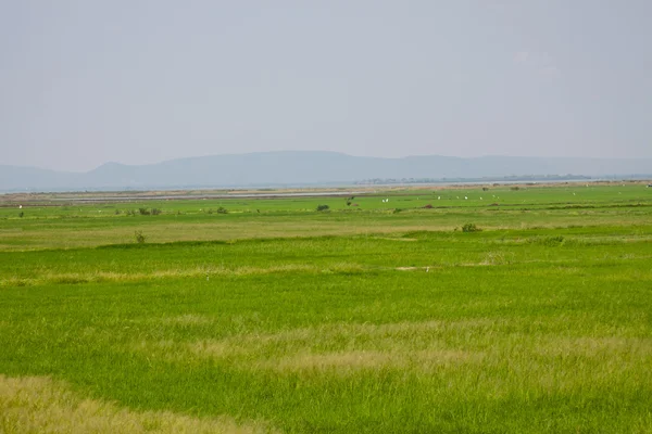 Alan ve mavi dağ mavi gökyüzü