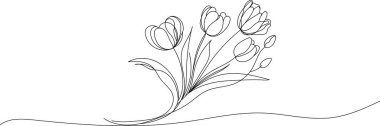 Minimalist lale çiçeklerinin çizdiği resim çizgisi. Beyaz arkaplanda laleler ve yapraklar olan zarif bir el çizimi..