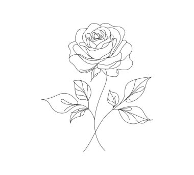 Minimalist gül çizgisi çizimi. Beyaz arka planda el çizimi, duvar sanatı, baskılar, dövmeler, markalaşma, düğün tasarımı ve modern dekor için mükemmel..