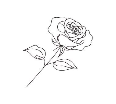 Minimalist gül çizgisi çizimi. Beyaz arka planda el çizimi, duvar sanatı, baskılar, dövmeler, markalaşma, düğün tasarımı ve modern dekor için mükemmel..