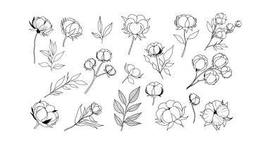 Pamuk bitkilerinin el yapımı sanat koleksiyonu