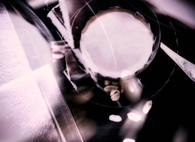 Tabloda sabah kahvesi.