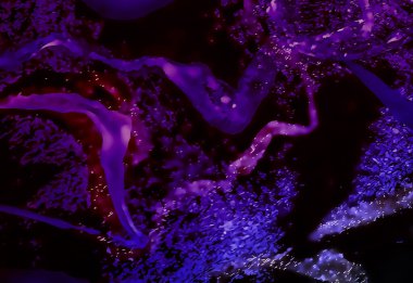 Spectacular abstract fantasy pattern 51