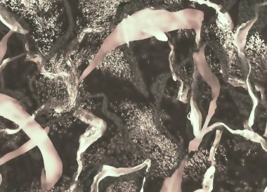 Spectacular abstract fantasy pattern 51