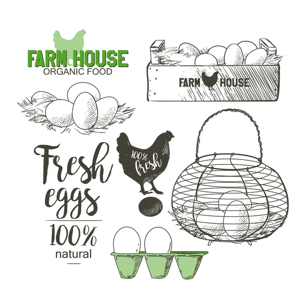 Αυγά στο καλάθι — Διανυσματικό Αρχείο