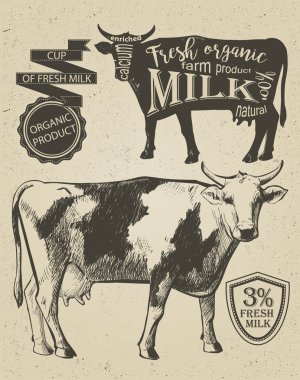 İnek vintage grafiği