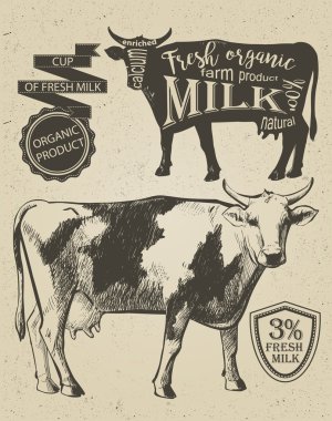Cow vintage graphic clipart