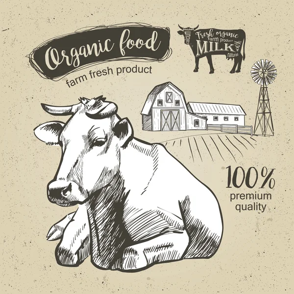 Grafik vintage sapi Stok Ilustrasi Bebas Royalti