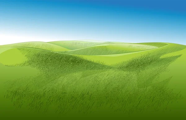 Vector Campo de hierba verde en pequeñas colinas. Pradera, álcali, lejía, pastizales, pomo, pulga, pastos, granja. Paisaje rural paisaje panorama de pastos rurales. ilustración — Vector de stock