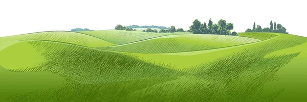 Vector, küçük tepelerdeki yeşil çim tarlasını çiziyor. Çayır, alkali, kül suyu, çayır, kulplu, lea, otlak, çiftlik. Kırsal manzara manzarası kırsal çayırların manzarası. resimleme