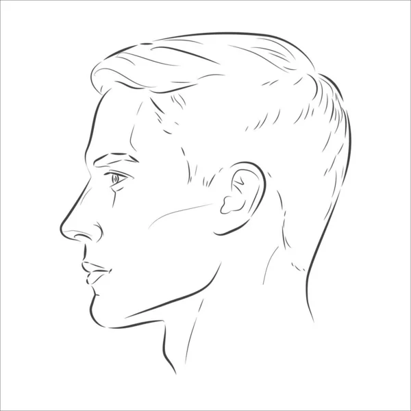 Set of man face portrait three different angles and turns of a male head. Close-up vector line sketch. Different view front, profile, three-quarter of a boy. — Stock Vector