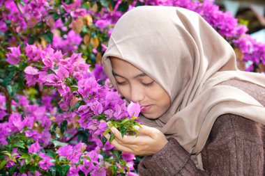 Müslüman bir Asyalı kadın poz verirken zarif ve huzurlu görünüyor. Mor bir begonvili çiçeği öpüyor. Güzel kadın pembe kağıt çiçeklere karşı poz veriyor..