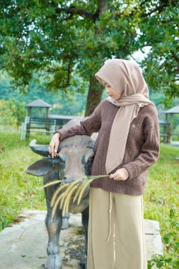 Asyalı Müslüman kadın bufalo heykelinin yanında poz veriyor ve güzel bir parkta çimleri besliyor..