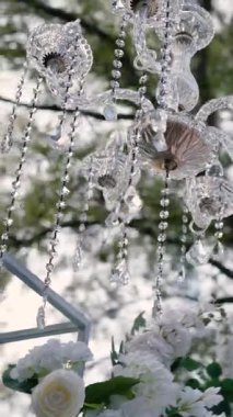 Gelin ve damadın düğün töreninden önce nehir kıyısındaki beyaz gül çiçekleri, romantik bir dekor.