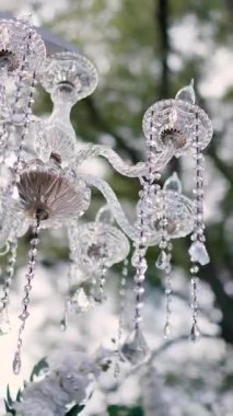 Gelin ve damadın düğün töreninden önce nehir kıyısındaki beyaz gül çiçekleri, romantik bir dekor.