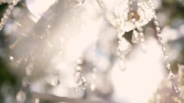 Cam bir avize ve güneş ışığında parlayan kristal bir avize. Güzel yansımalar ve ışınlar, bir ışık oyunu. Tören için düğün kemeri dekoru..