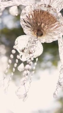 Cam bir avize ve güneş ışığında parlayan kristal bir avize. Güzel yansımalar ve ışınlar, bir ışık oyunu. Tören için düğün kemeri dekoru.