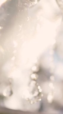 Cam bir avize ve güneş ışığında parlayan kristal bir avize. Güzel yansımalar ve ışınlar, bir ışık oyunu. Tören için düğün kemeri dekoru.