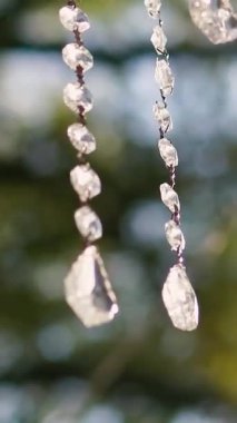 Cam bir avize ve güneş ışığında parlayan kristal bir avize. Güzel yansımalar ve ışınlar, bir ışık oyunu. Tören için düğün kemeri dekoru.