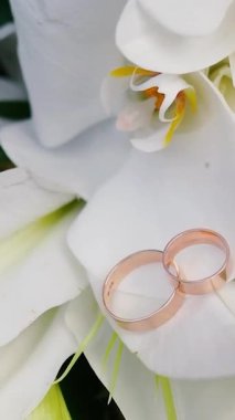 Düğünden önceki gün, güzel ve güzel kokulu bir buket beyaz gül ve zambak. Aşkın sembolü olarak alyansların yakın plan çekimi..