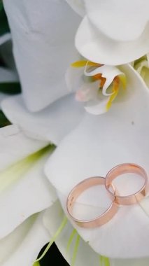 Düğünden önceki gün, güzel ve güzel kokulu bir buket beyaz gül ve zambak. Aşkın sembolü olarak alyansların yakın plan çekimi..