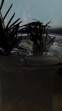 Cin tonik ve bardaklarda buzla yapılan nefis alkollü kokteyl geceleri dinlenmek ve yazın ferahlatıcı olmak için. Baharat ve aroma için yeşil limon. Barmen ve bar. Biberiye ateşle yanıyor.