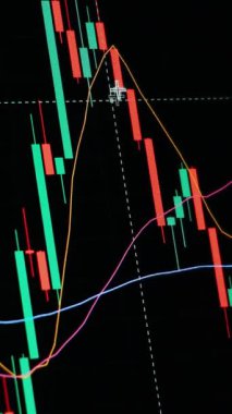 Finansal piyasadaki kripto para biriminin dijital bir grafiği gündelik olarak yükseldiğini veya düştüğünü gösteriyor. Bitcoin değeri ve kriz sırasında dijital varlık yatırımcıları için bir dolar. Tüccar kârı.