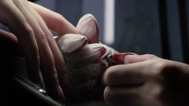 Güzellik ustası manikürcü, güzellik salonunda genç ve güzel bir kıza el ve parmaklarıyla manikür yapıyor. Tamirci aletlerini kapat