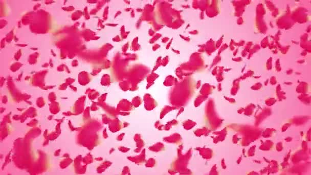 Background falling petals — Stock Video