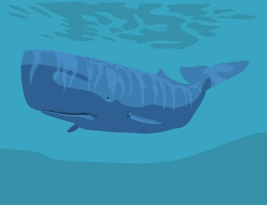 marine art - sperm whale floating in the ocean clipart