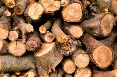 Yakacak odun yığını. Kış için hazırlık. Arka plan